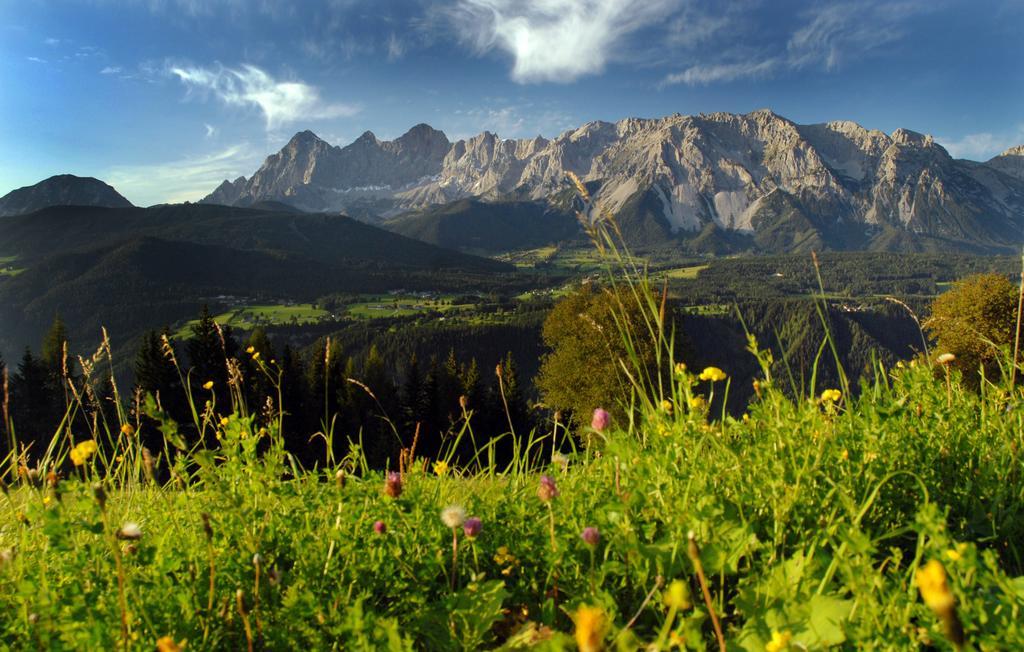 Haus Bergzauber Appartement Ramsau am Dachstein Buitenkant foto